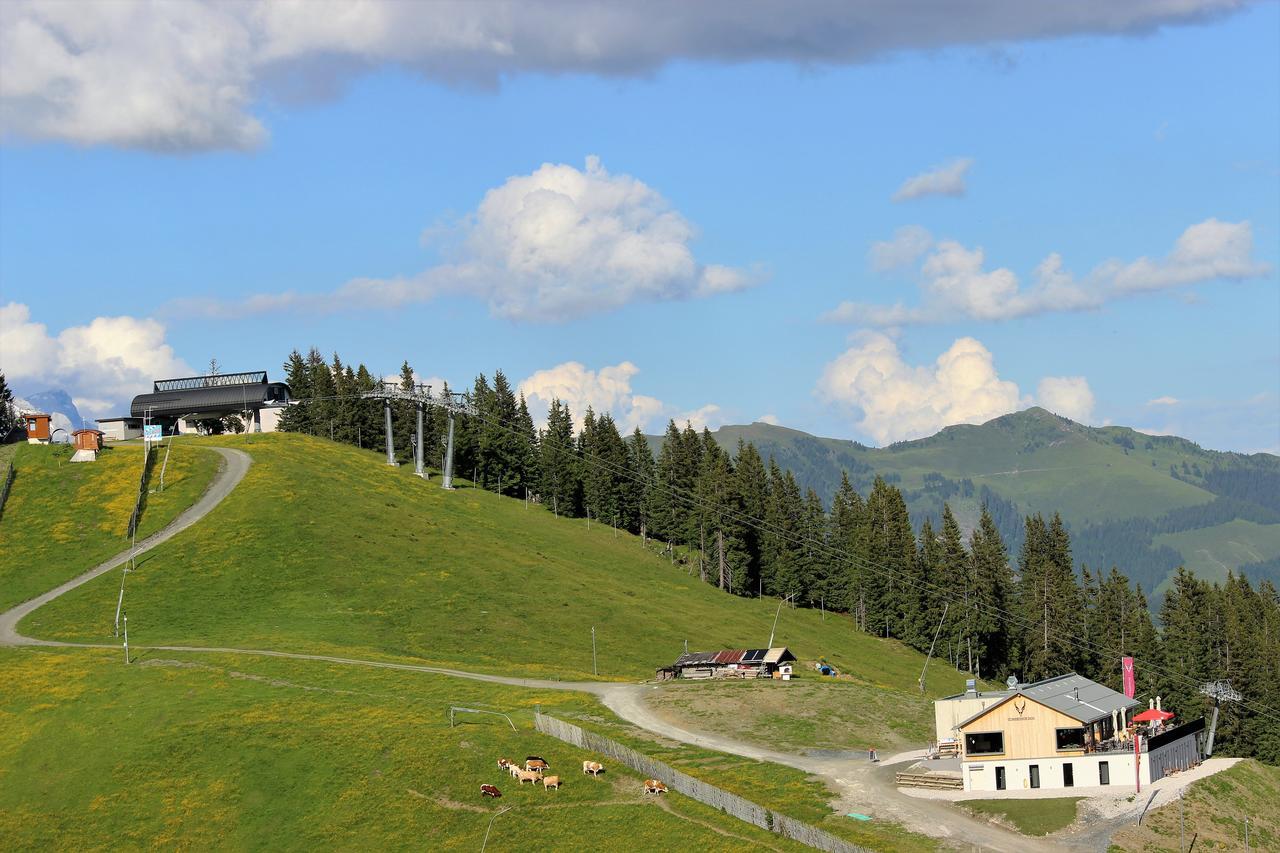 Schmiedhof Alm Hotel Zell am See Exterior photo